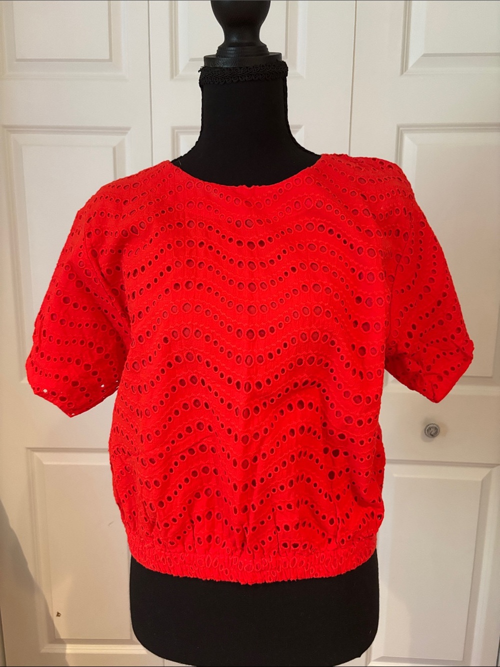 Ann Taylor Vibrant Orange Eyelet Blouse